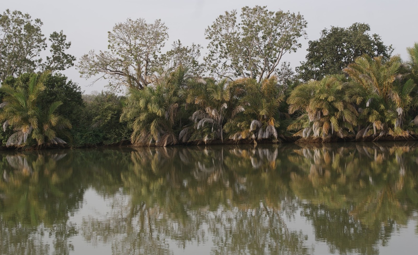 Fleuve Gambie et Janjanbureh